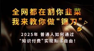知识付费如何做到月入过W+，2025我来教你做“镰刀”【揭秘】-网创星球