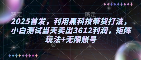 2025首发，利用黑科技带货打法，小白测试当天卖出3612利润，矩阵玩法+无限账号【揭秘】-网创星球