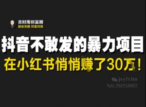 抖音不敢发的暴利项目，在小红书悄悄挣了30W-网创星球