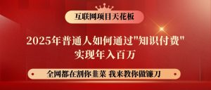 网创项目终点站-镰刀训练营超级IP合伙人，25年普通人如何通过“知识付费”年入百万-网创星球