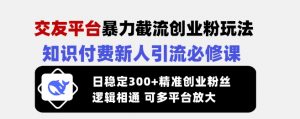 交友平台暴力截流创业粉玩法，知识付费新人引流必修课，日稳定300+精准创业粉丝，逻辑相通可多平台放大-网创星球