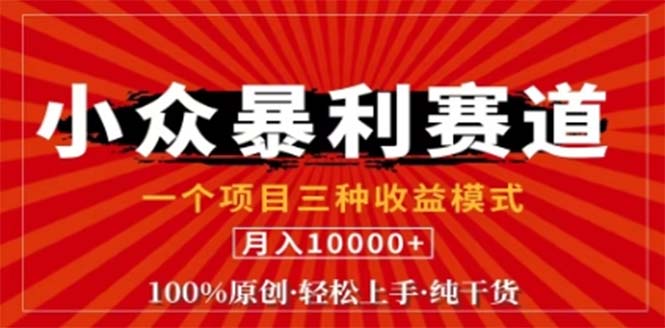 视频号最新爆火赛道，三种可收益模式，0粉新号条条原创条条热门 日入1000+-网创星球