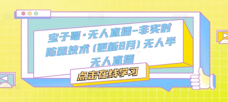 宝子哥·无人直播-非实时防风技术(更新9月)无人半无人直播-网创星球